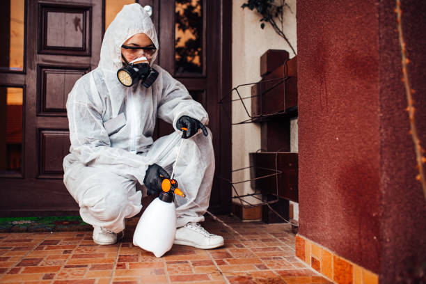 Reliable Bed Bug Control contractor in St. George, SC by Nex Pest Control